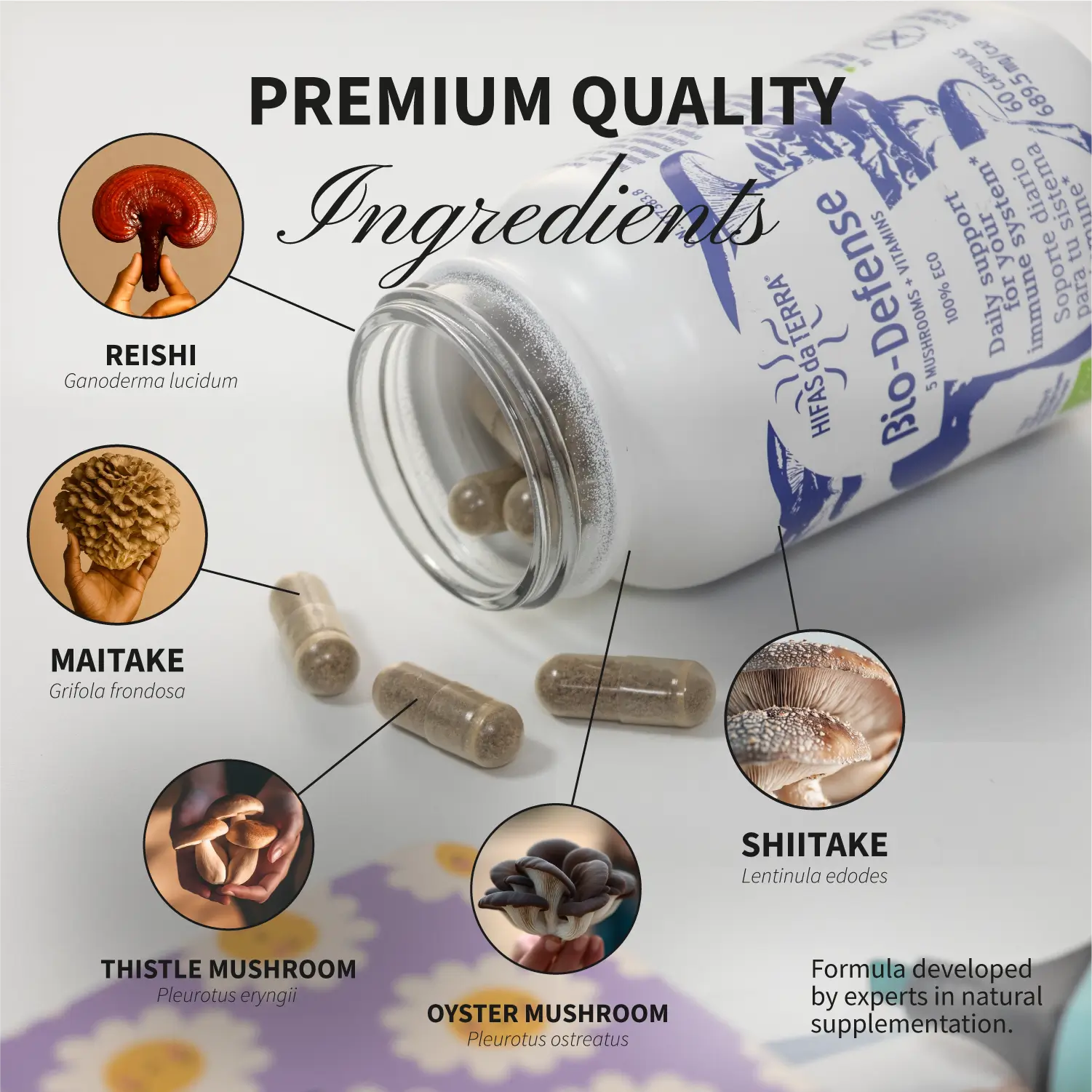 Hifas da Terra - Bio Defense - Daily support - 60 capsules - Image 2